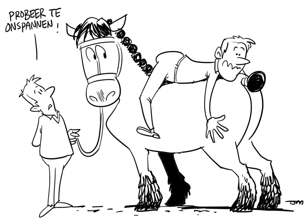 Paardencoaching sessie: therapeutische coaching met paarden voor persoonlijke transformatie en zelfontdekking